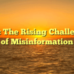 Title: The Rising Challenges of Misinformation