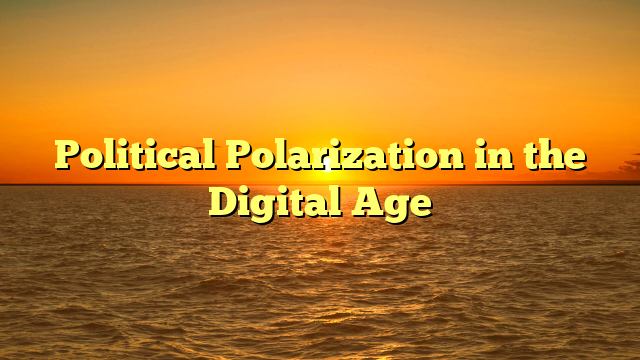 Political Polarization in the Digital Age