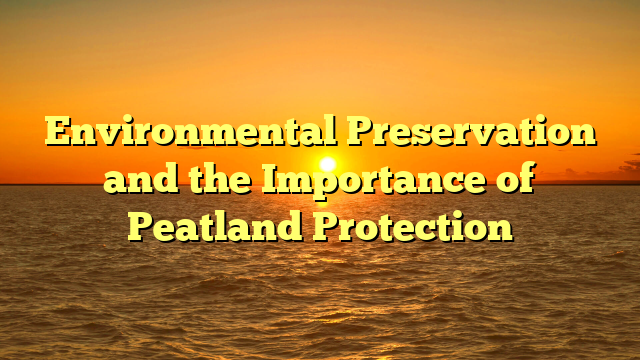 Environmental Preservation and the Importance of Peatland Protection